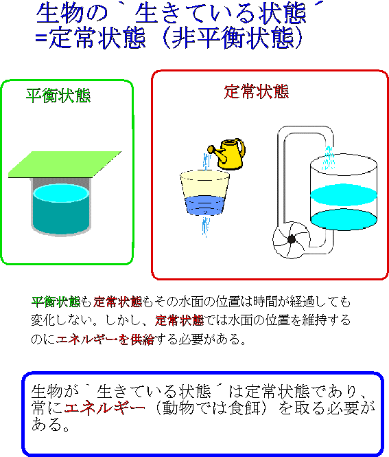 生物物理学における非平衡の熱力学 | nate-hospital.com